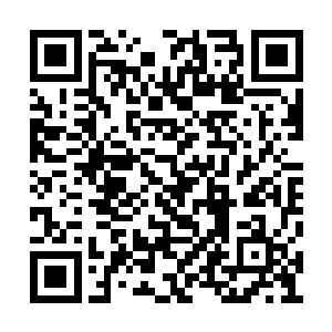 如此才能在白羿再次转化为墨徒之前将事情解决二维码生成
