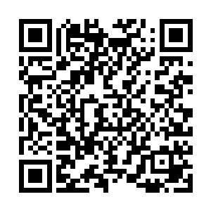 如此有爱的一幕早就被有心的粉丝用dv全程记录下来二维码生成