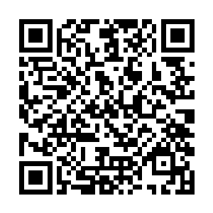 如此看来这个世界必将是你们纳甲土尸一族的天下了二维码生成