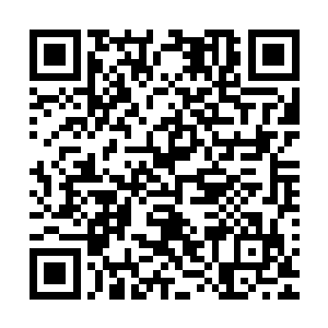 如此还有一些地尊期修士和十二个人尊期修士没有出战的机会二维码生成