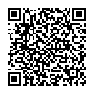 如此这般他才稳住了不让自己因为本源魔力的枯竭而中止了炼制血肉二维码生成