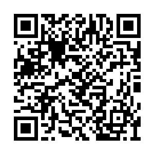 如此重大的事情他们自然第一时间打电话给自家二维码生成