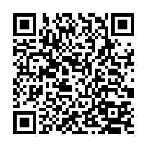 如此阵容就算遇到了大圣者实力的人也绝对有一拼之力二维码生成