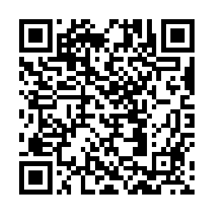 如此高姿态不知死活的寒冰雪去取阴阳圣果与找死无异二维码生成