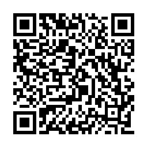 如此高级别的兵器配合气海第五重出体境的实力二维码生成