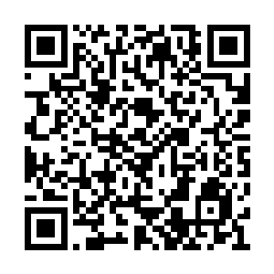 如疯癫了一样疯狂的拿着各种人群做着各种实验二维码生成