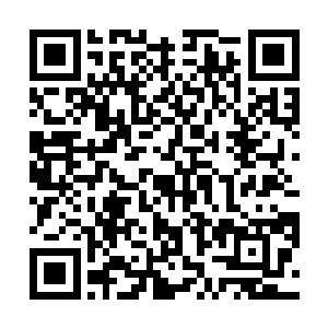 如苏州园林这类小众知识的来源要么是同圈子中的传播二维码生成