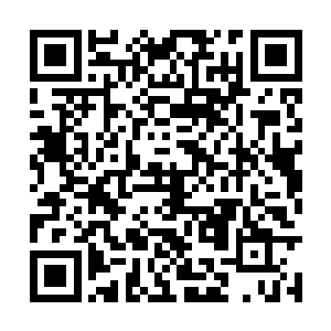 如若不然…我七界圣府永远不会向你图腾龙族宣战二维码生成