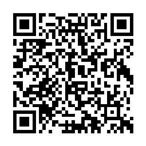 如雪小姐和小柯是不是离开后院去了其他地方啊二维码生成