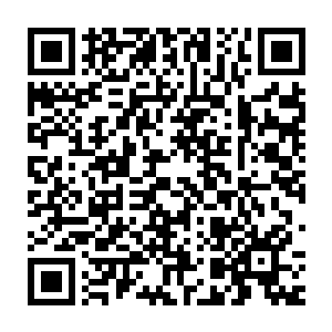 如风卷残云一般很快就将两条加起来上百斤的野猪腿吃得干干净净二维码生成