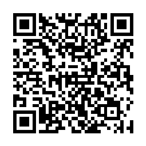 妇人保养得宜的年轻面孔上露出了鲜少被人看到的踟蹰二维码生成