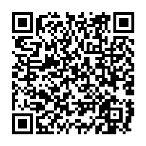 妈不是这个意思……妈只是心疼你现在一个人又要带孩子又要忙药铺二维码生成