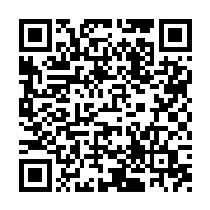 妈妈真的是我啊……我的元神被婴童收进体内了二维码生成