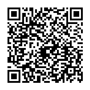 妈的拦住他小牛犊子居然真不怕死别给他进去你们分出五个人去找那女的二维码生成