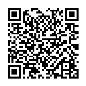 妖人一族恐怕早在武道师先祖时期就被斩杀干净了二维码生成