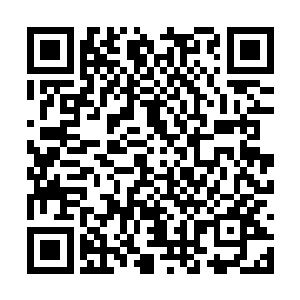 妖仙盟中无论是跟化意门有没有交情的宗门和家族二维码生成