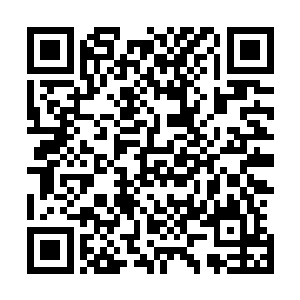 妖修大汉原本就是由吴岩体内魔种破壳而生的血蛟魔婴所化二维码生成