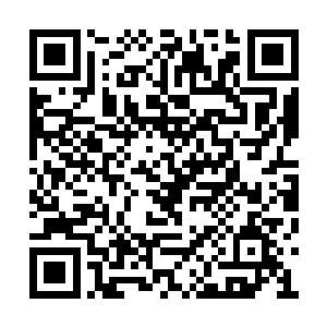 妖兽往往会找一个地方独占一方或者是拉帮结派二维码生成