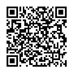 妖兽的高层的确是已经知道了楚枫跟神龙的事情了二维码生成