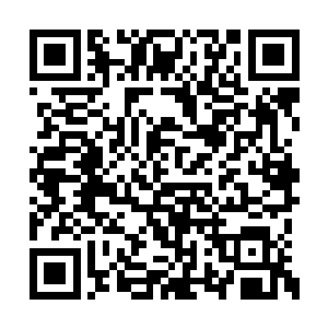 妖十三乃是当年为圣魂妖姬挡下过致命一击的人二维码生成