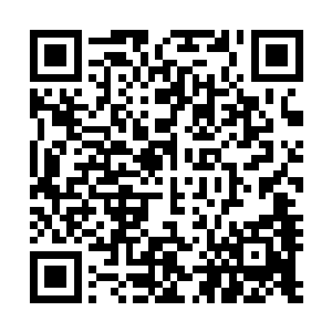 妖域的凤凰一族的血脉虽然说远远不如九幽冥凤的血脉高贵二维码生成