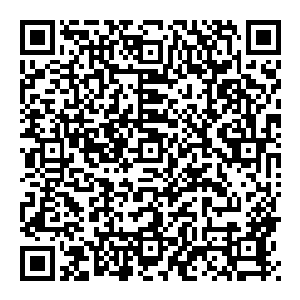 妖孽　你说我是妖孽　朗朗乾坤　正是有了你们　才会是非不分　狼藉不堪　所谓的正道　所谓的天道　都只不过是一个借口罢了　二维码生成