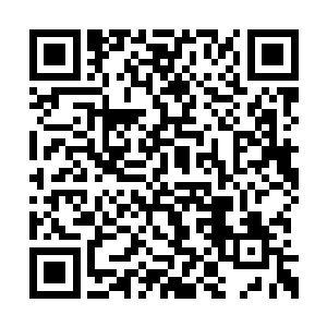 妖帝必然是在世俗界的几个地方都布下了生之力二维码生成