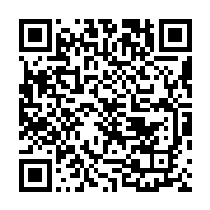 妖族代行者彻底将弱肉强食的思想在这刻贯彻的淋漓尽致二维码生成