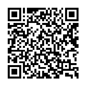 妖族和仙兽一族自从拍卖会和云顶仙宫升级之后二维码生成