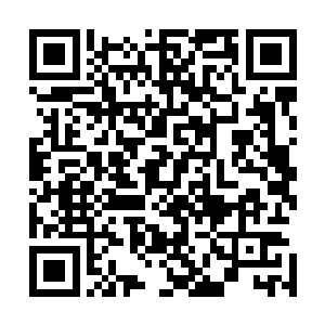 妖族绝对不会允许呼啸山脉出现一个能够威胁到妖族的势力二维码生成