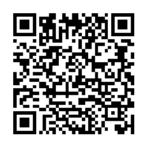 妖皇从圣墟的普通妖将一路冲到半圣之下第一妖位置二维码生成