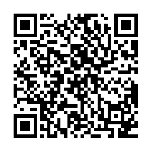 妖神执行者一身的盔甲还有超高的巫术抗性也让众人吃尽了苦头二维码生成