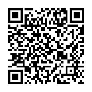 妖神执行者身上的诅咒都是他们自愿接受的高级诅咒二维码生成