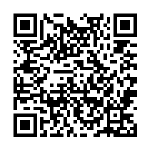 妖禽一系和植物一系妖族对金霞山的支援缓缓来迟二维码生成