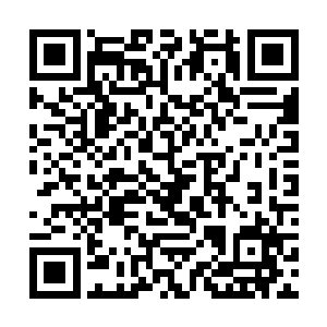 妖罗幽冥域的通道就被炸出一个几百米深的巨大深坑二维码生成