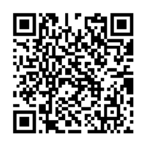 妖若仙立刻在一堆一品妖丹中翻来覆去地掂量寻找二维码生成