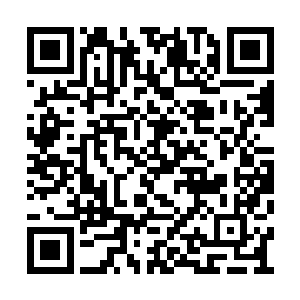妖血的血腥之气尚未传至黑鳖精所在的水域范围二维码生成