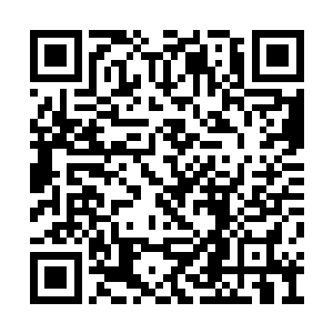 妘葳果然没有意外的以压倒性的实力获得了冠军二维码生成