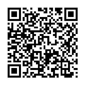 妙音老祖见沈凡一脸自信的说着堪称笑话一般的话二维码生成