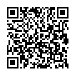 妮可瞬间就重新开启了浮游天使的最大战斗状态二维码生成