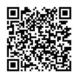 妮娜发现自己的思维已经开始往危险的方向发展了二维码生成