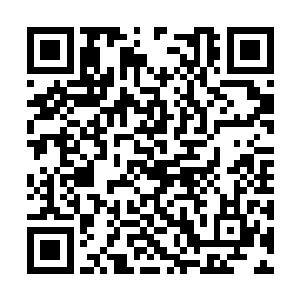妮娜想到了一样500円就可以让他们吃到饱的好东西二维码生成