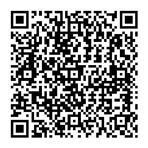 妮娜拒绝相信自己的幸运值不如白兰这么悲伤的故事――明明她才应该是有主角光环的人……不二维码生成