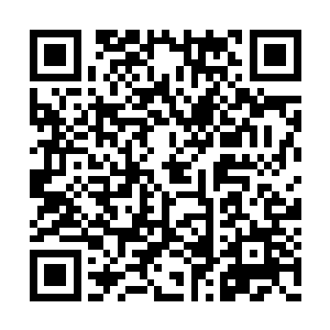 妮娜探出头看了看长着一张霸道总裁脸的王丽成二维码生成