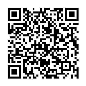 妮娜现在就十二万分的不想承认自己认识白兰这个事实二维码生成