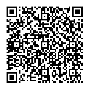 妮娜突然为全世界那些在辛苦学外语的小伙伴们感到悲哀――如果在她还是人的时候见到有一只猫精通多国语言二维码生成