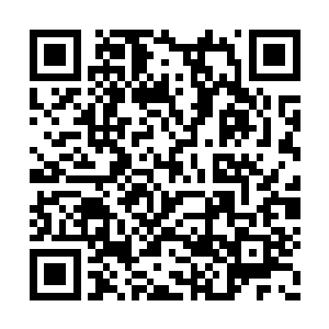 妮娜突然觉得自己有必要多学点社交方面的知识二维码生成