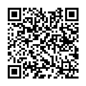 妮娜终于发现自己身上友谊件不同于寻常猫的地方二维码生成