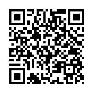 妮娜终于猫生中第一次踏上了意大利的土地二维码生成