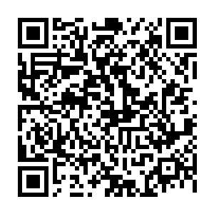 妮娜觉得自己有点明白白兰这就是无论如何我就是任性的脾气是怎么来的了二维码生成